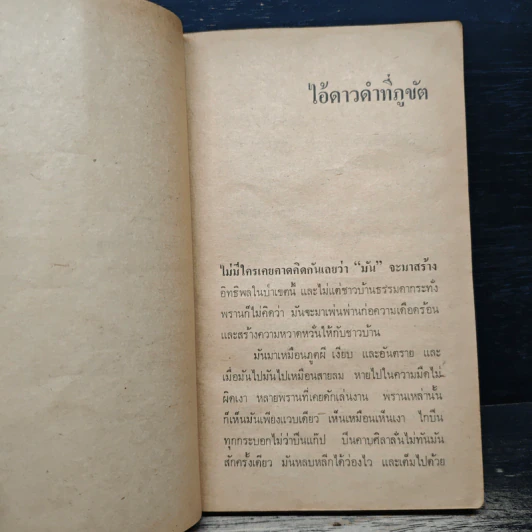 แบกปืน บุกป่า - ส.รัตนาภา รูปที่ 9