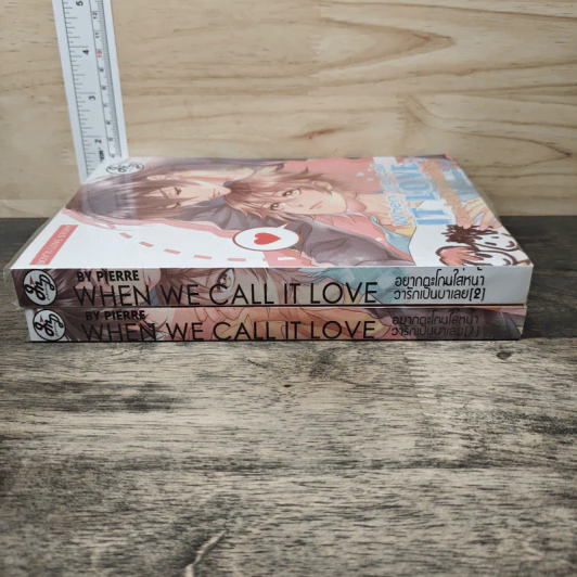 When We Call It LOVE 2 เล่มจบ รูปที่ 3