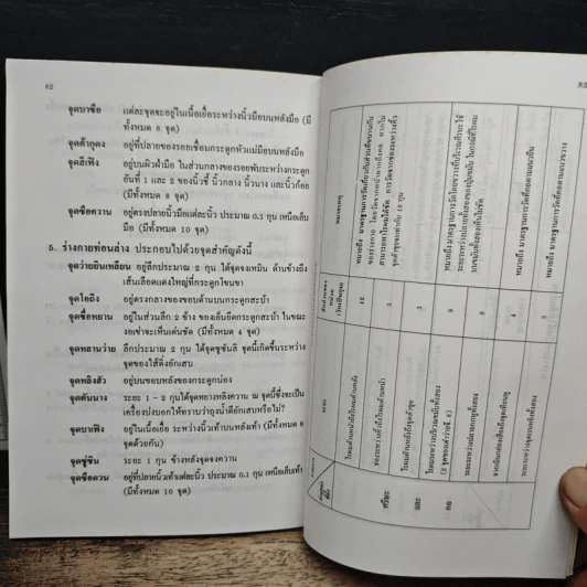 กายวิภาคศาสตร์ของจุดปักเข็ม และเส้นลมปราณ 14 เส้น - รองศาสตราจารย์พัฒน์ สุจำนงค์ รูปที่ 10