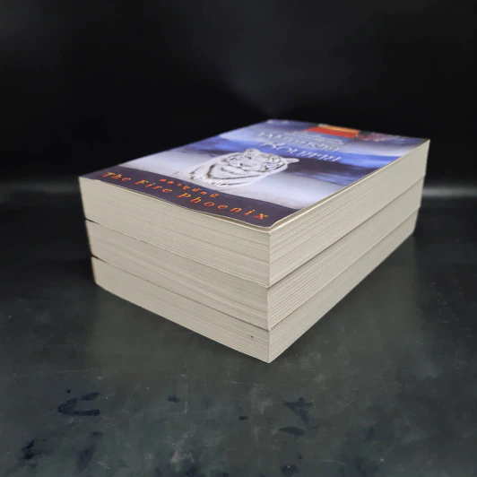ชุด สดายุอัคนี The Fire Phoenix (พยัคฆ์ร้ายซ่อนลาย + กรงเล็บอินทรี + นารีมังกร) - เก้าแต้ม รูปที่ 3