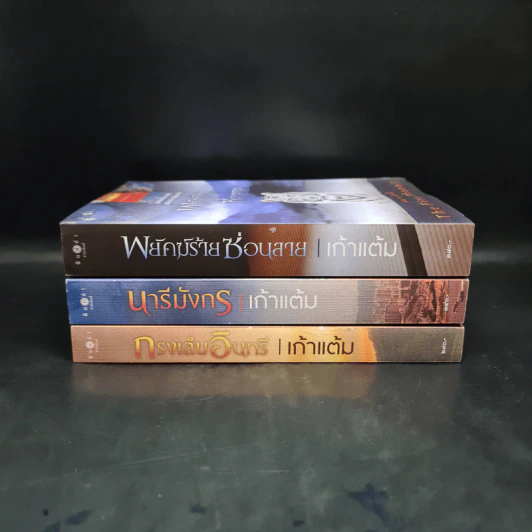 ชุด สดายุอัคนี The Fire Phoenix (พยัคฆ์ร้ายซ่อนลาย + กรงเล็บอินทรี + นารีมังกร) - เก้าแต้ม รูปที่ 2