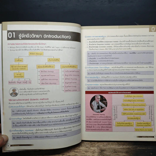 Ultra Biology สรุปชีววิทยา มัธยมปลาย รูปที่ 9