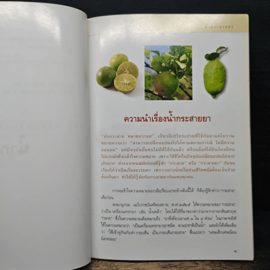 คู่มือเภสัชกรรมแผนไทย เล่ม 1 น้ำกระสายยา - ชยันต์ พิเชียรสุนทร, วิเชียร จีรวงส์ รูปที่ 8