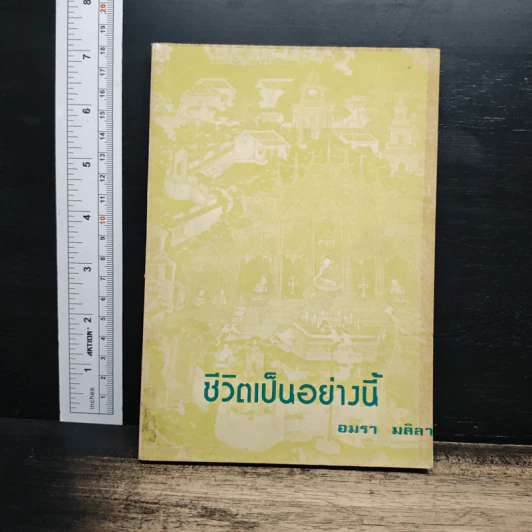 ชีวิตเป็นอย่างนี้ - อมรา มลิลา รูปที่ 1