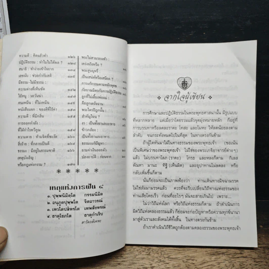 บันทึกธรรมแนวปฏิบัติ รูปที่ 8