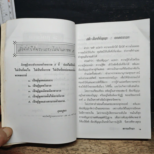 บันทึกธรรมแนวปฏิบัติ รูปที่ 9