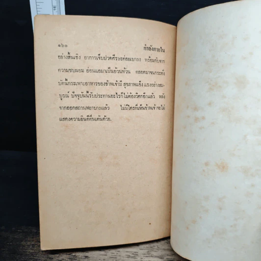 วิชากำลังภายใน ฝึกลมปราณ สมาธิ สงบจิตต์ อายุวัฒนะ รูปที่ 9