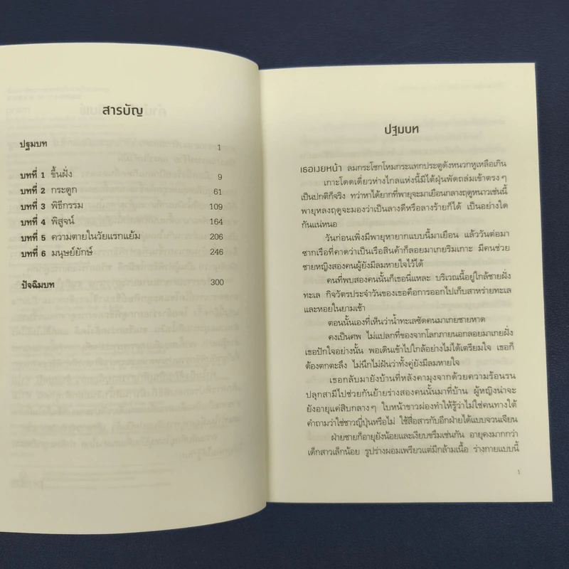 เรื่องเล่าพิสดารของเหล่าเด็กสาวผู้ถอดกระดูก - ฮาจิเมะ ชิมิซุ, ฉัตรขวัญ อดิศัย รูปที่ 7