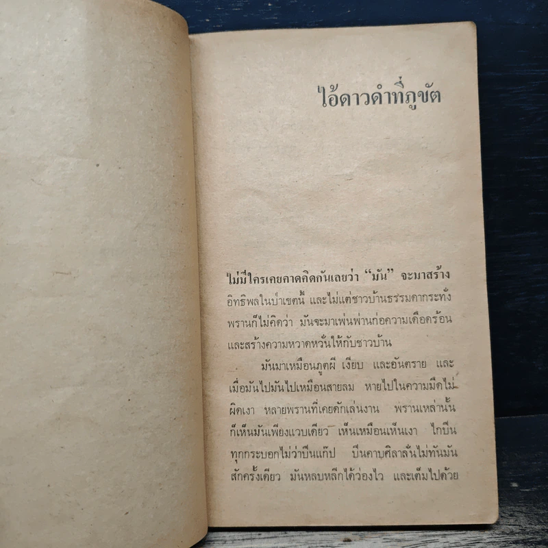 แบกปืน บุกป่า - ส.รัตนาภา รูปที่ 9