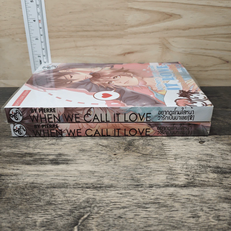 When We Call It LOVE 2 เล่มจบ รูปที่ 3