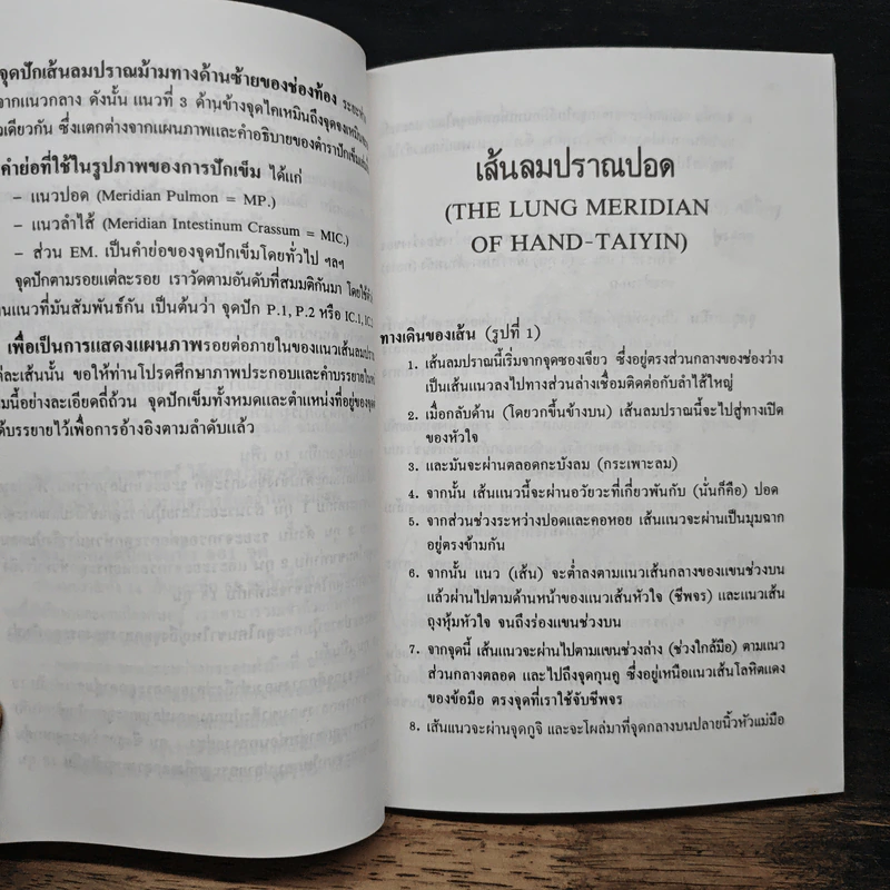 กายวิภาคศาสตร์ของจุดปักเข็ม และเส้นลมปราณ 14 เส้น - รองศาสตราจารย์พัฒน์ สุจำนงค์ รูปที่ 8