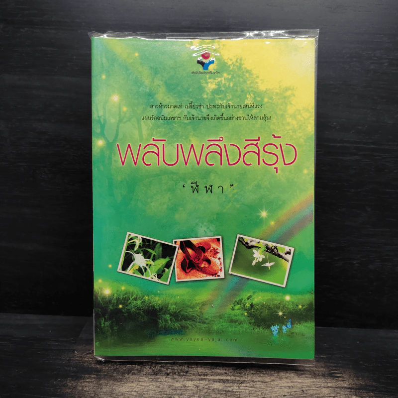 พลับพลึงสีรุ้ง - ฬีฬา รูปที่ 1