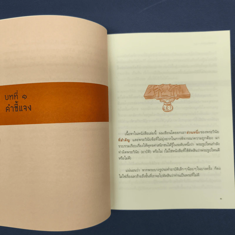 อาบัติในพระไตรปิฎก คู่มือดูพระแท้ - ณัฐพบธรรม รูปที่ 8
