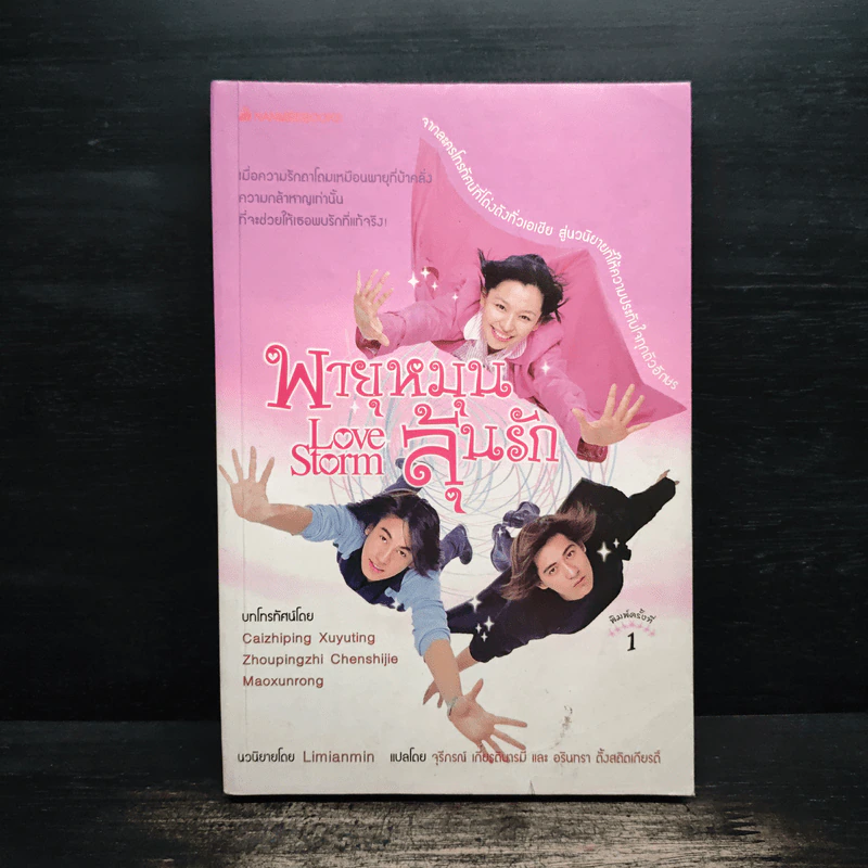 พายุหมุนลุ้นรัก Love Storm - Limianmin รูปที่ 1