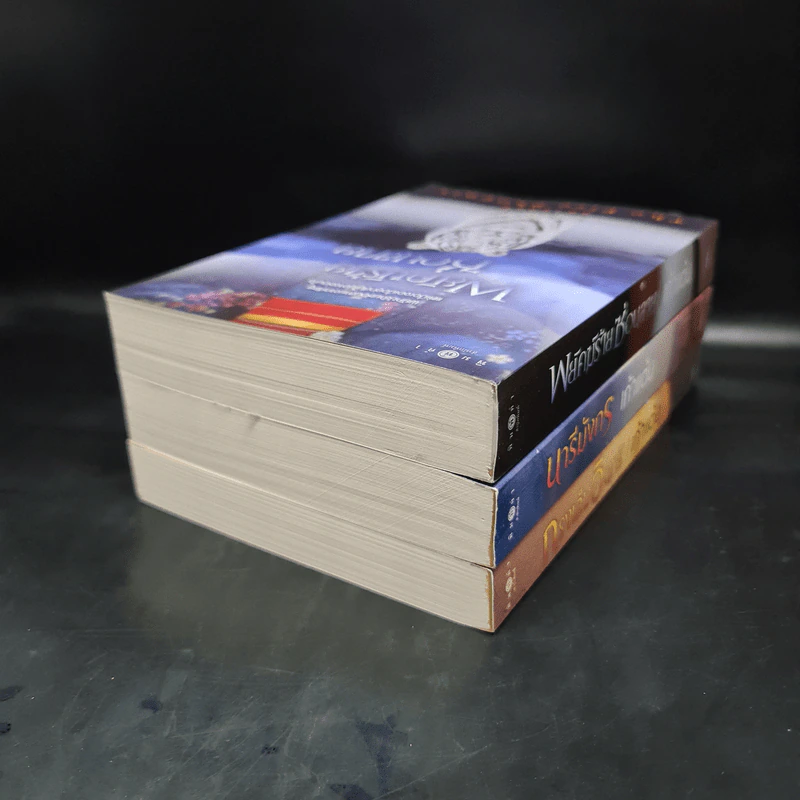 ชุด สดายุอัคนี The Fire Phoenix (พยัคฆ์ร้ายซ่อนลาย + กรงเล็บอินทรี + นารีมังกร) - เก้าแต้ม รูปที่ 4