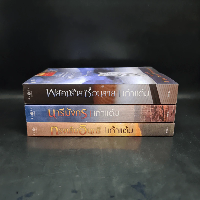 ชุด สดายุอัคนี The Fire Phoenix (พยัคฆ์ร้ายซ่อนลาย + กรงเล็บอินทรี + นารีมังกร) - เก้าแต้ม รูปที่ 2