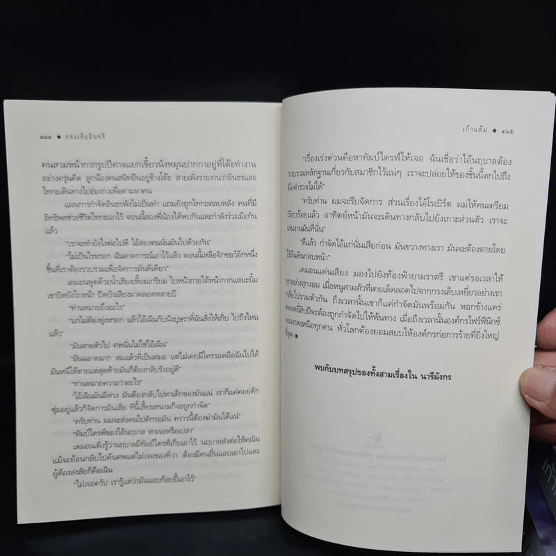 ชุด สดายุอัคนี The Fire Phoenix (พยัคฆ์ร้ายซ่อนลาย + กรงเล็บอินทรี + นารีมังกร) - เก้าแต้ม รูปที่ 8