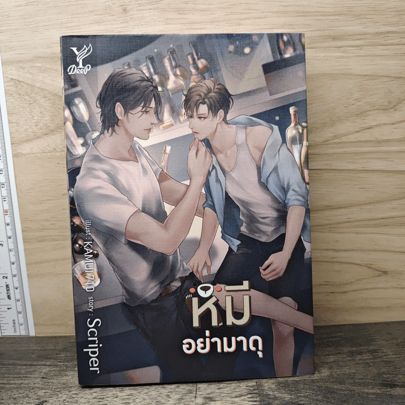 หมีอย่ามาดุ - Scriper รูปที่ 1