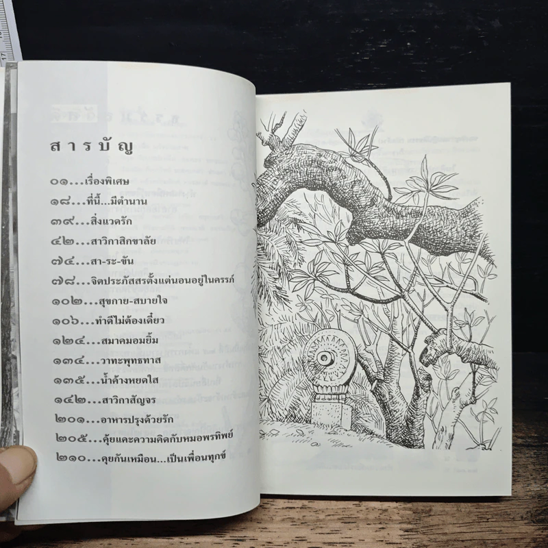 สาวิกาปีที่ 8 ฉบับที่ 69 18 ปี แห่งการทำงานอันศักดิ์สิทธิ์ รูปที่ 8