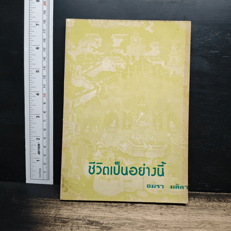ชีวิตเป็นอย่างนี้ - อมรา มลิลา รูปที่ 1