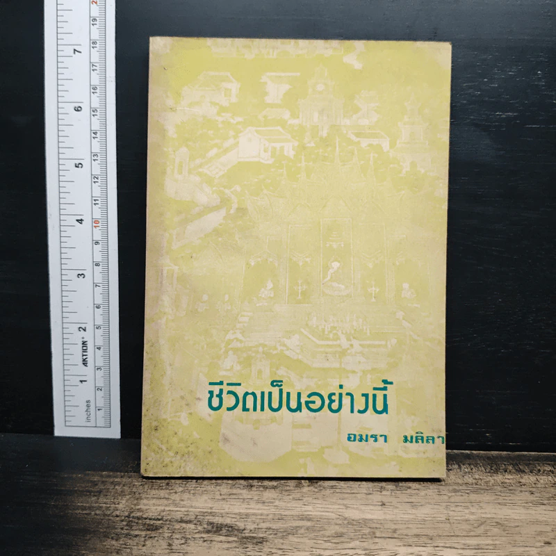 ชีวิตเป็นอย่างนี้ - อมรา มลิลา รูปที่ 1