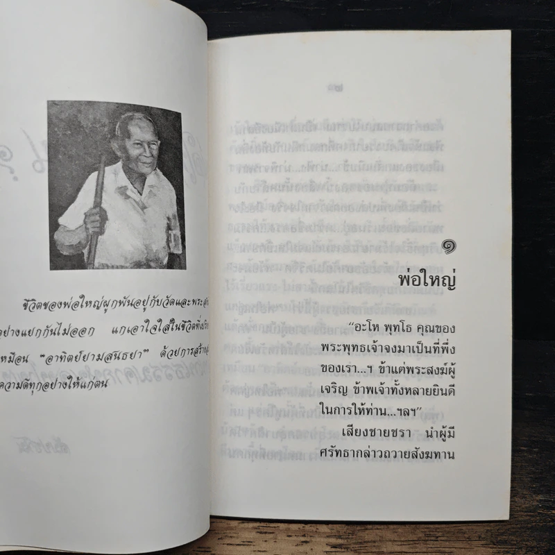 พ่อใหญ่...ไปไหน? รูปที่ 8