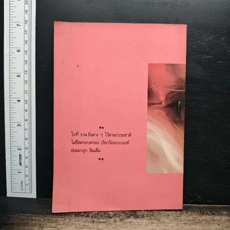 บุคคลที่หาได้ยาก - อมรา มลิลา รูปที่ 2