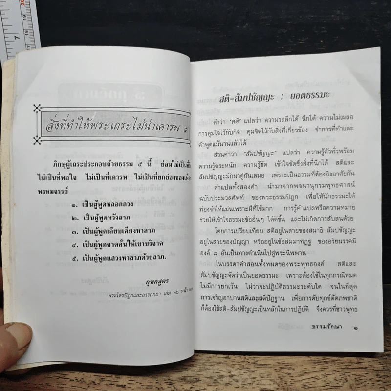 บันทึกธรรมแนวปฏิบัติ รูปที่ 9