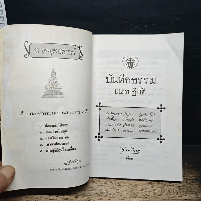 บันทึกธรรมแนวปฏิบัติ รูปที่ 6