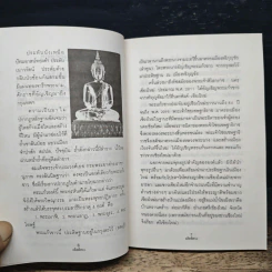 อดีตพิศวง - น้าแปลก รูปที่ 7