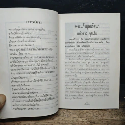 อดีตพิศวง - น้าแปลก รูปที่ 6