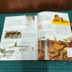 สารานุกรมความรู้เรื่องสัตว์สำหรับเด็ก รูปที่ 10
