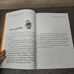 ชีวิตสอนชีวิต - จิตรา ก่อนันทเกียรติ รูปที่ 9