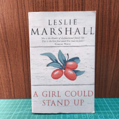 A Girl Could Stand Up - Leslie Marshall