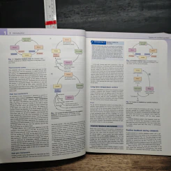 Medical Sciences - Jeannette Naish รูปที่ 10