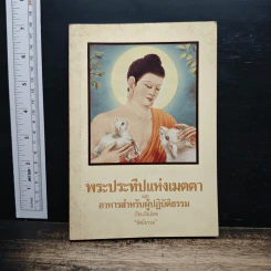 พระประทีปแห่งเมตตา และ อาหารสำหรับผู้ปฏิบัติธรรม - รัศมีธรรม รูปที่ 1