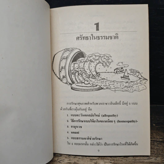 ธรรมชาติบำบัด การรักษาโรคด้วยธรรมชาติ - โมราจิ เดซาย รูปที่ 8