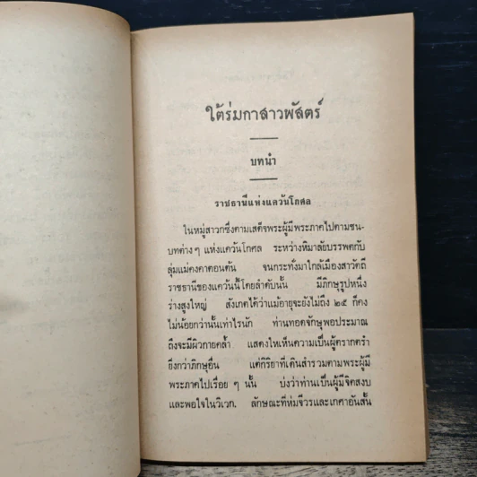 ใต้ร่มกาสาวพัสตร์ - สุชีโว ภิกขุ รูปที่ 7