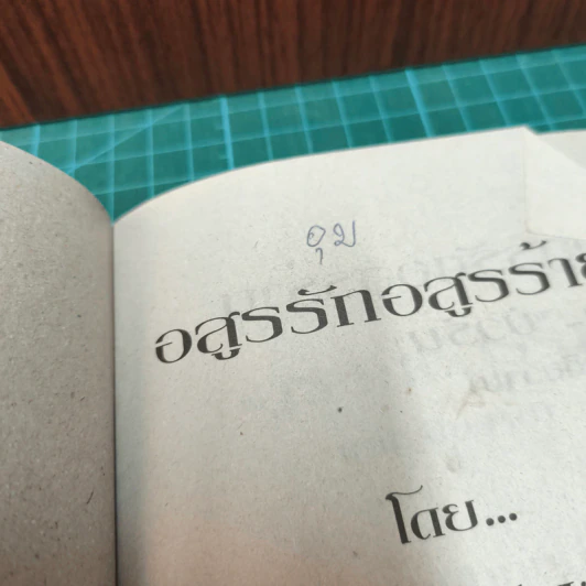 อสูรรักอสูรร้าย - บัวริน รูปที่ 7