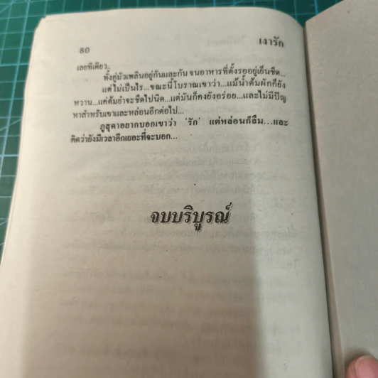 เงารัก - นภาลัย ไผ่สีทอง รูปที่ 8