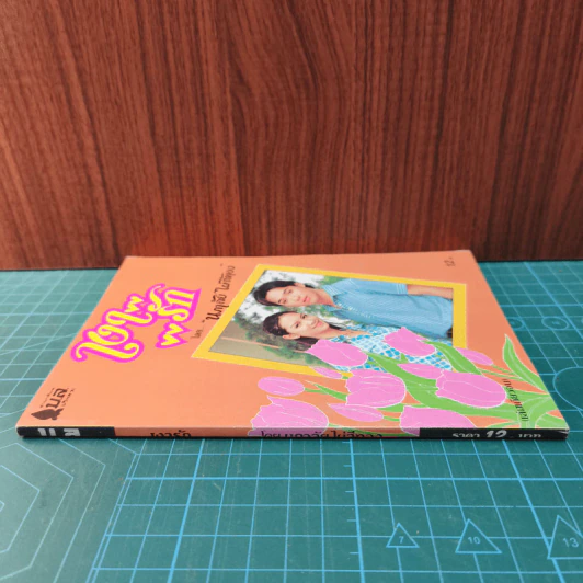 เงารัก - นภาลัย ไผ่สีทอง รูปที่ 2