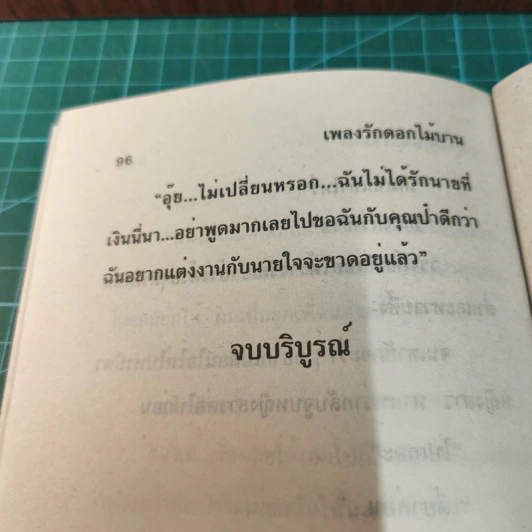 เพลงรักดอกไม้บาน - บัวริน รูปที่ 9