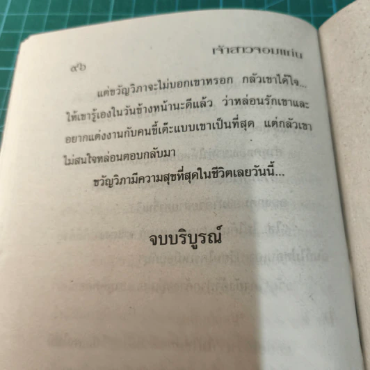 เจ้าสาวจอมแก่น - บัวริน รูปที่ 9