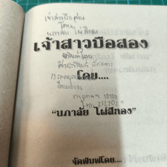 เจ้าสาวมือสอง - นภาลัย ไผ่สีทอง รูปที่ 8