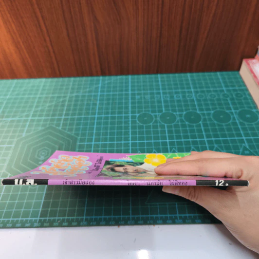 เจ้าสาวมือสอง - นภาลัย ไผ่สีทอง รูปที่ 3