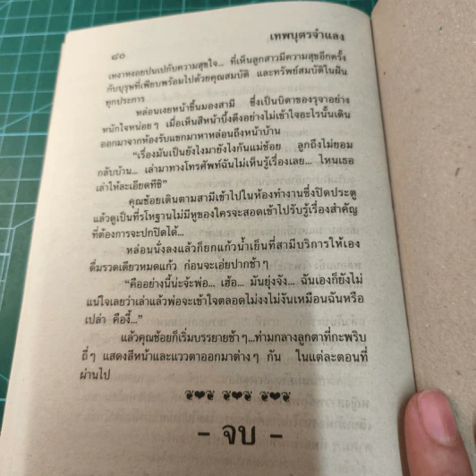 เทพบุตรจำแลง - นภาลัย ไผ่สีทอง รูปที่ 9