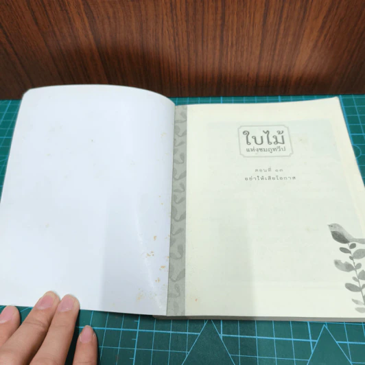 ใบไม้แห่งชมภูทวีป ตอนที่ 13 อย่าให้เสียโอกาส - หลวงปู่พุทธะอิสระ รูปที่ 6