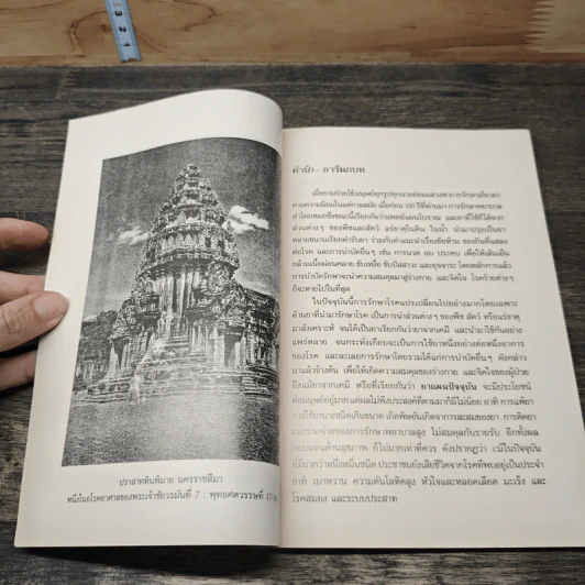 การใช้สมุนไพรรักษาโรคของผู้ใหญ่ - ศ.นพ.วีรสิงห์ เมืองมั่น รูปที่ 6