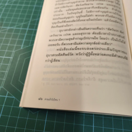 ตายแล้วไปไหน? - บ.อรรถกาม รูปที่ 10