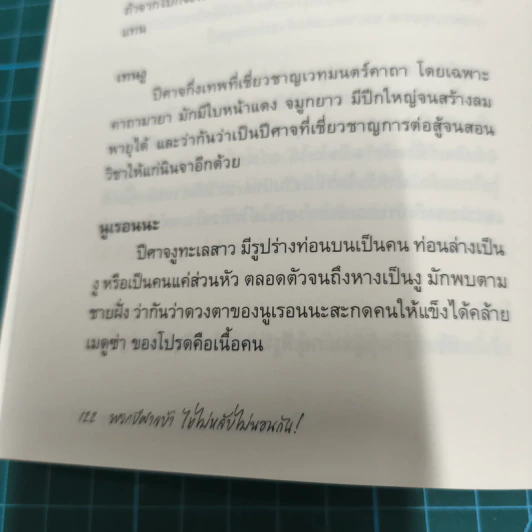 พวกปีศาจบ้า ไยไม่หลับไม่นอนกัน! - Raina รูปที่ 10